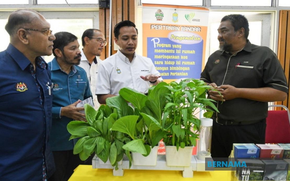 Penang To Launch Raids On Durian Fraud Hotspots, Warns Sellers Against Mislabelling