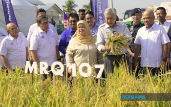 Pasir Salak GiatMARA To Relocate To New Site