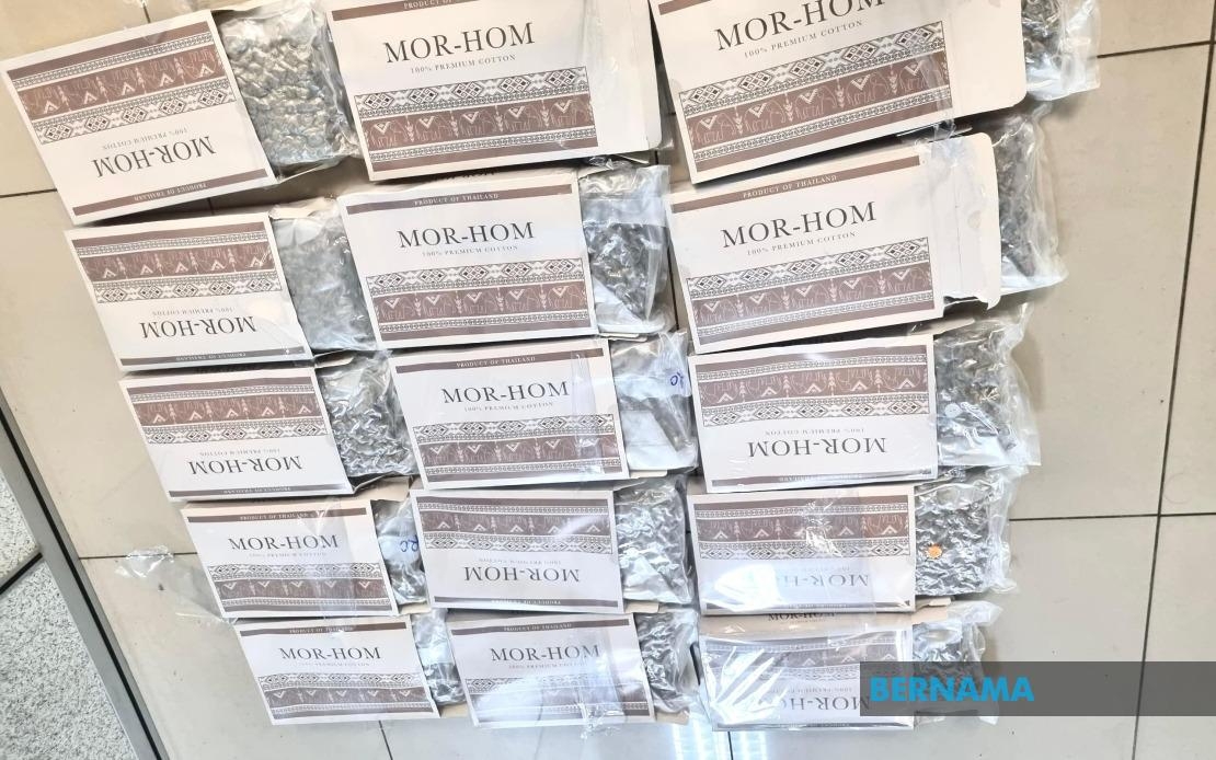 GOF Seizes Over RM800,000 Worth Of ‘Royal Cannabis' In Pasir Mas