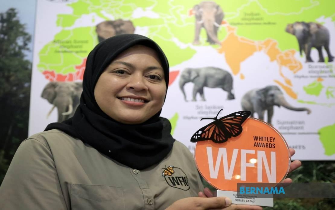 One Woman's Lifelong Mission: Giving Voice To Borneo's Last Elephants
