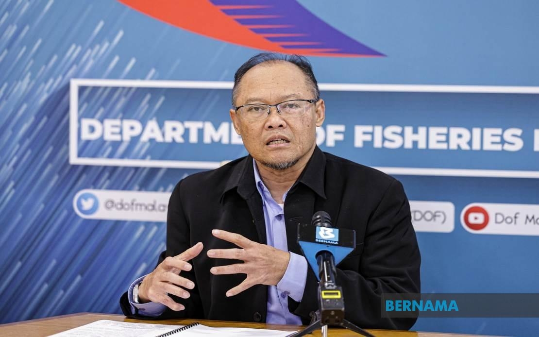 Shark Landings Nationwide Record Over 5,600 Tonnes In 2024