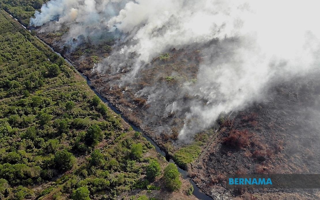 Fire Dept, Forestry Teams Join Forces To Combat Peat Fires