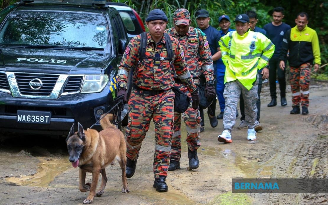 16 UK-Bred Dogs To Join JBPM K9 Unit By November