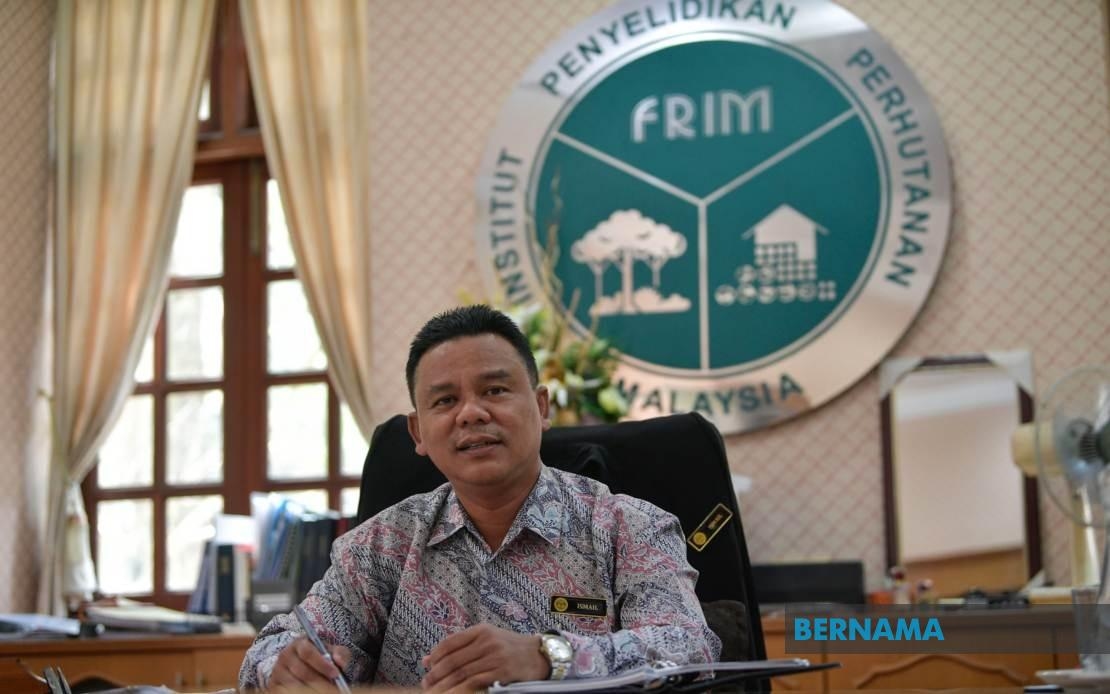 FRIM, Perlis Forestry Partner To Boost Economic Value Of Teak
