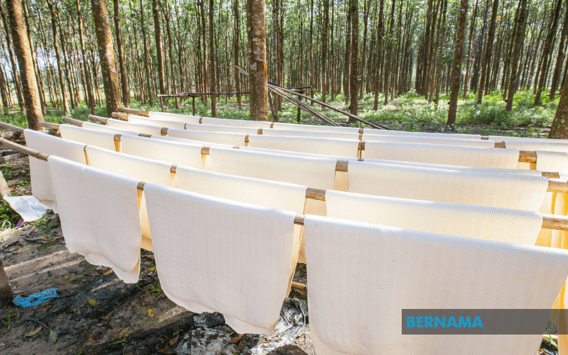 Rubber Market Ends Mixed Amid Weaker Regional Futures Market