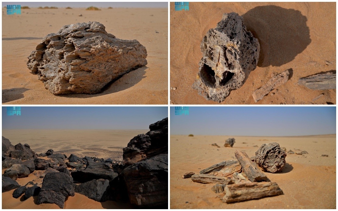 Saudi Arabia's Fossilised Forests Reveal Geological Wonders