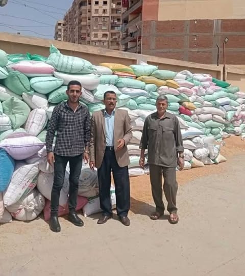 مديرية التموين بالقليوبية تتابع موسم استلام القمح المحلية 2025