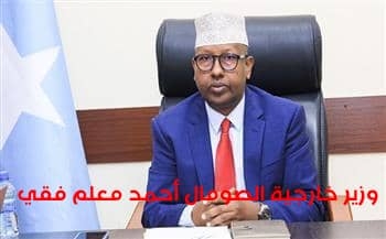 وزير خارجية الصومال: المليشيات الإرهابية في أضعف حالاتها بعد عامين من العمليات العسكرية
