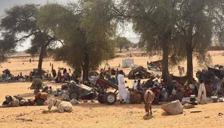 السودان :نازحو الفاشر يفرّون إلى 'طويلة' مع تصاعد المعارك.. وآلاف من كردفان يعبرون إلى أوغندا