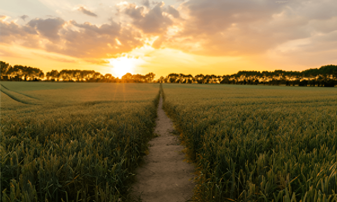 UK Farmers 'Have Two-Thirds of their Wealth Tied up in their Farm'