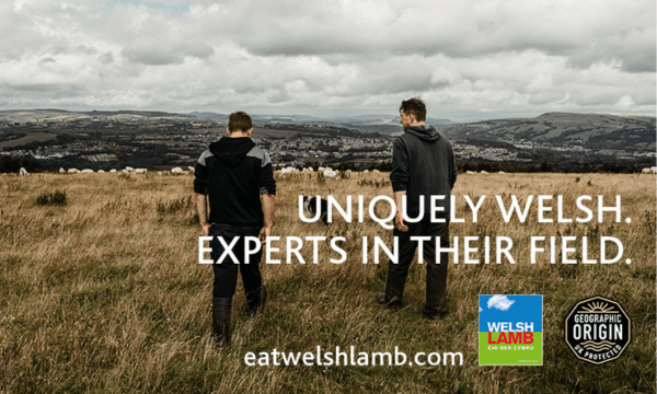 HCC Launches Annual Welsh Lamb Media Campaign