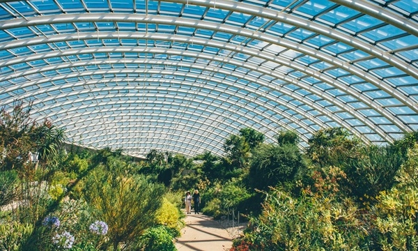 National Botanic Garden of Wales Celebrates 25 Years