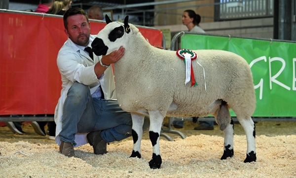 Record Turnout Reported at 2025 Royal Welsh Spring Festival