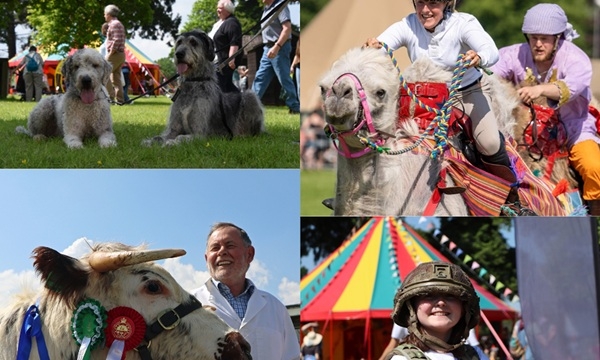 Royal Welsh Spring Festival Unveils Weekend Programme