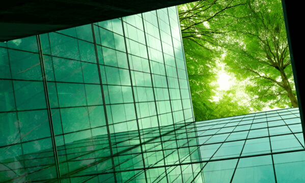 £100m Green Bond Programme Launched to Fund Biochar Innovation