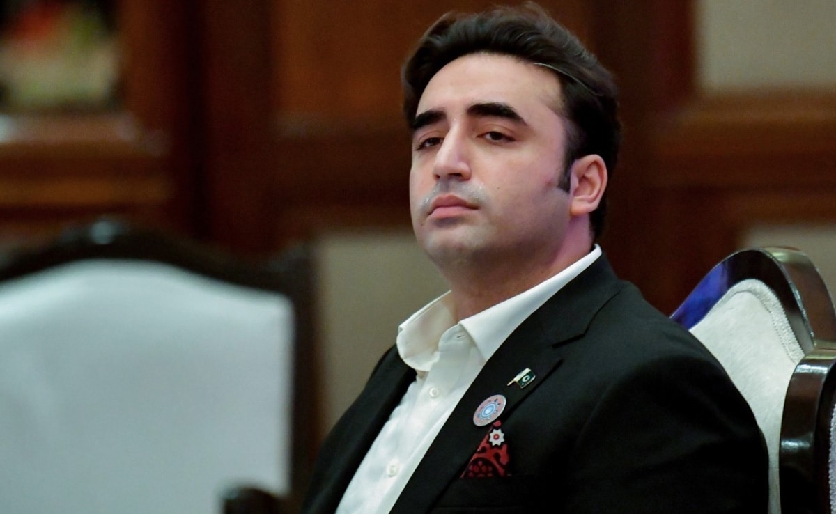 "As Far As Kashmir Cause Is Concerned...": Bilawal Bhutto's Big UN Admission