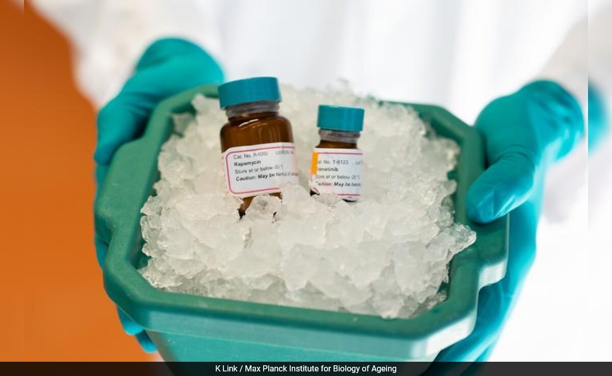 Anti-Ageing Drug Combo Extends Mouse Lifespan By 30%, Sparks Hope For Human Longevity
