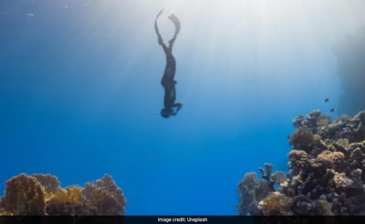 Skilled Chinese Diver, 30, Drowns In Indonesia While Trying To Retrieve Dropped GoPro Camera