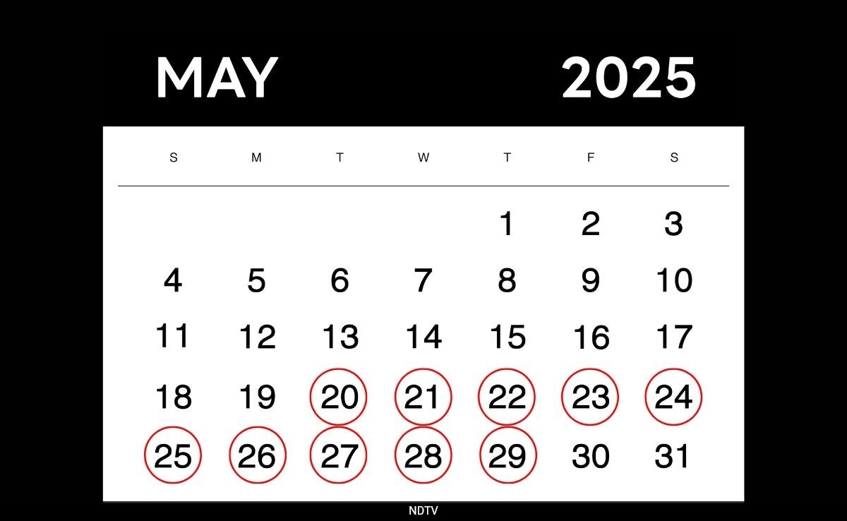 May 2025's Rare Palindrome Dates Spark Viral Buzz Online
