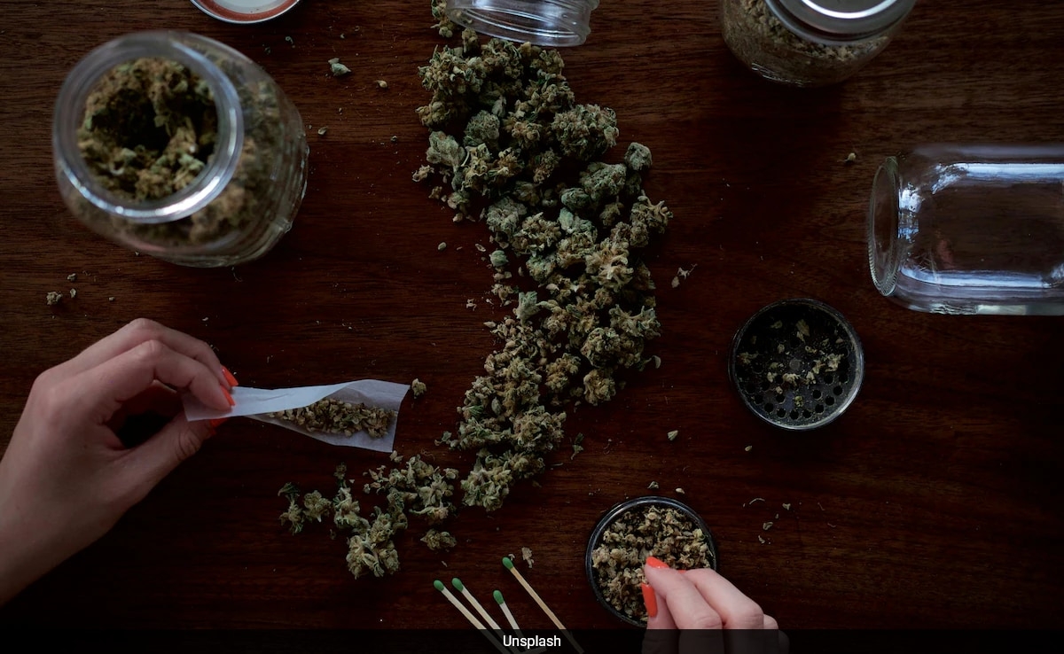 Cannabis Use Doesn't Affect Sperm Quality, New Study Finds