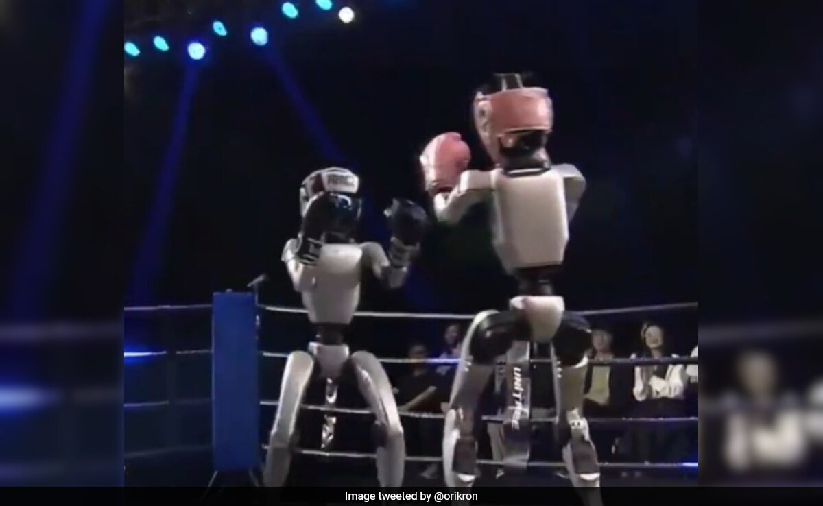 Watch: In A World-First, Humanoid Robots Battle It Out In Chinese Kick-Boxing Match