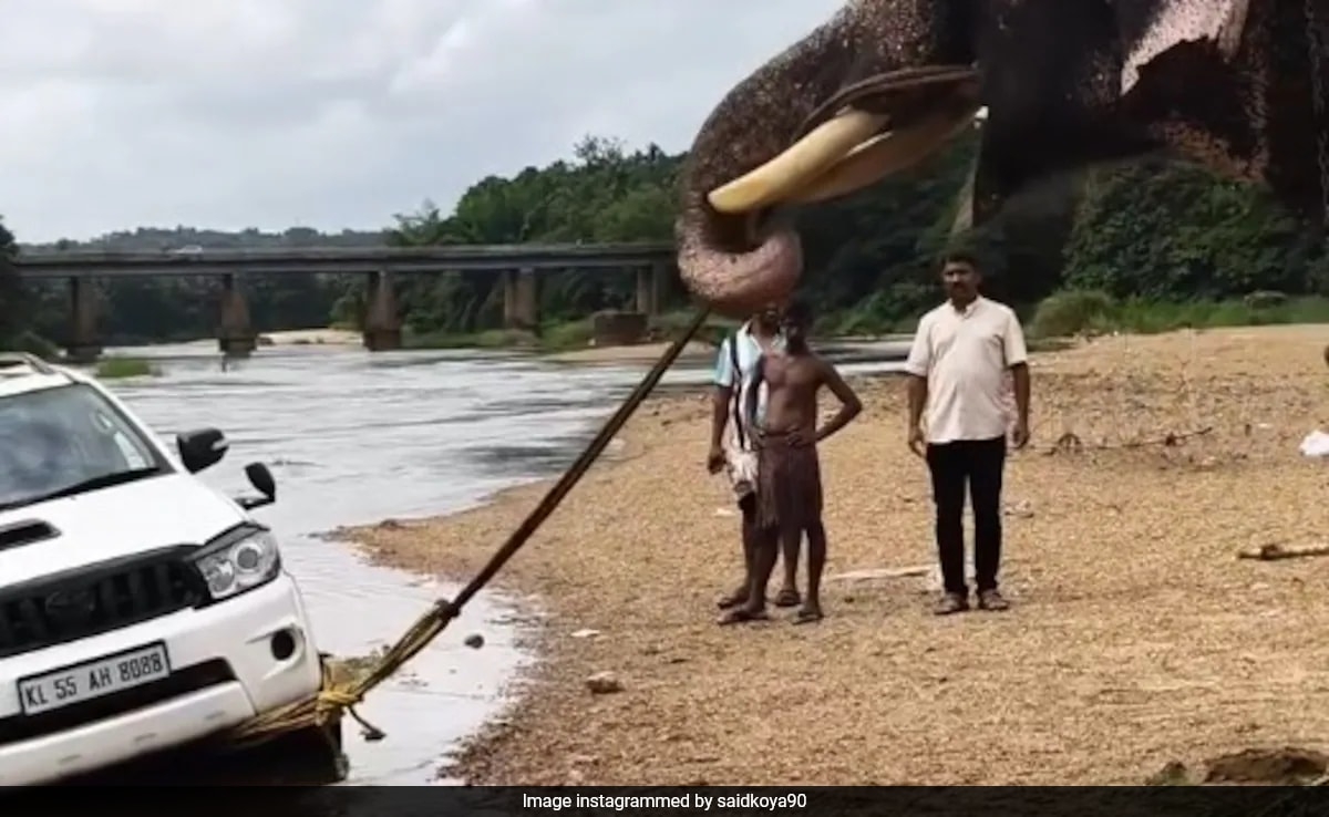 Video Shows Elephant Pulling Stuck Toyota Fortuner Out Of River In Kerala