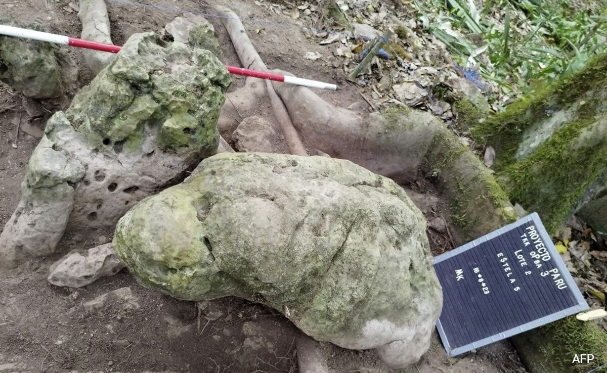 Remains Of 3,000 Years Old Mayan City Found In Guatemala