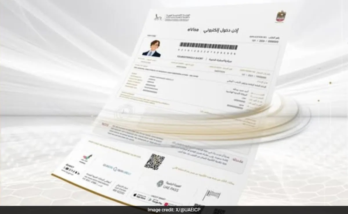 UAE Opens Blue Visa For Expats: What Is It And How To Apply
