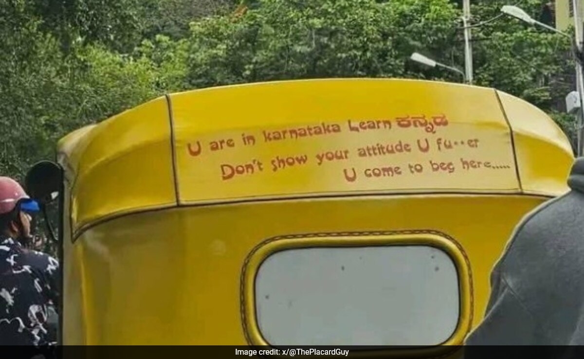 "Choose Delhi": Influencer Reacts To Karnataka Auto Driver's Message For Non-Kannada Speakers