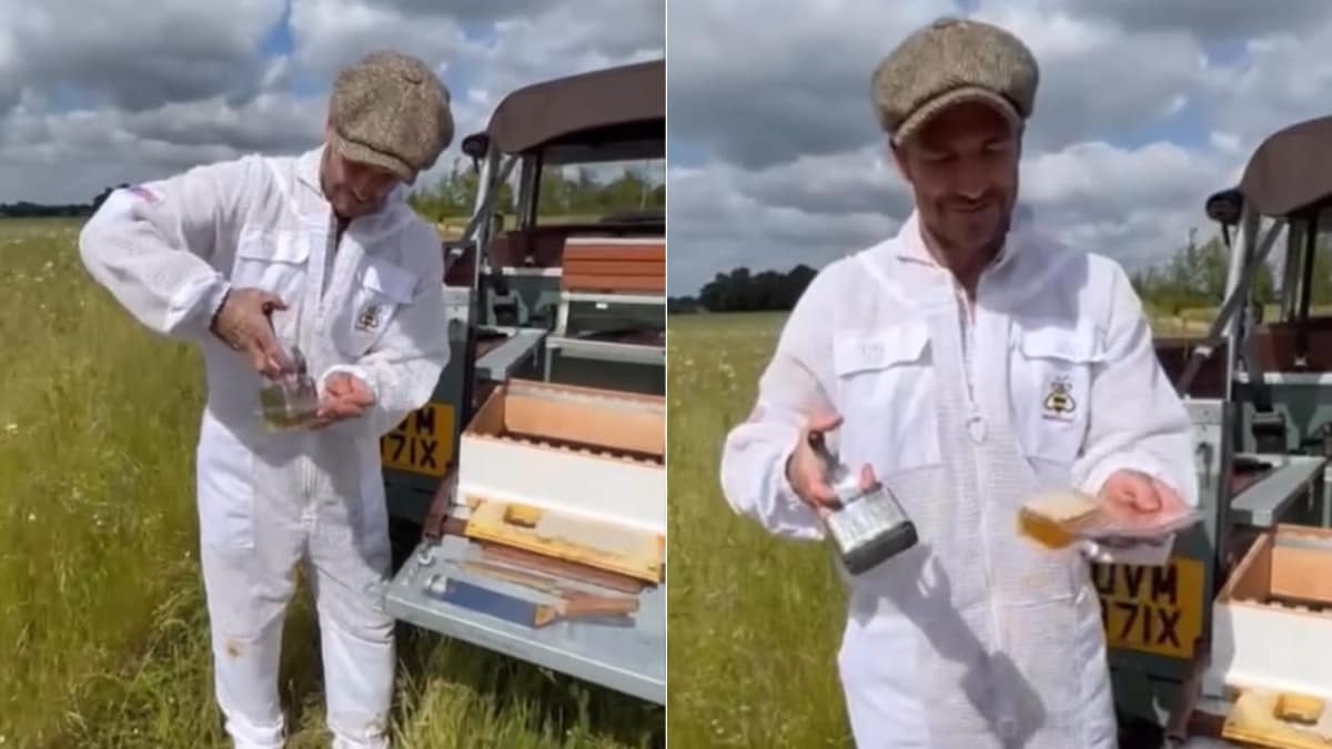 Watch: David Beckham Enters Full Beekeeper Mode And We Are Here For It
