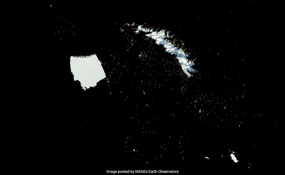 NASA Satellite Shows World's Largest Iceberg Breaking Into Thousands Of Pieces. What Happens Next