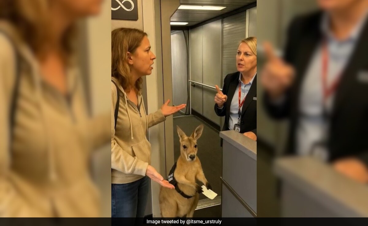 Fake Or Real? Here's The Truth Behind The Viral Kangaroo Airport Video