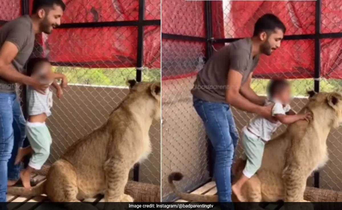 Video: Man "Forces" Child To Take Picture With Lion, Sparks Debate On Parenting