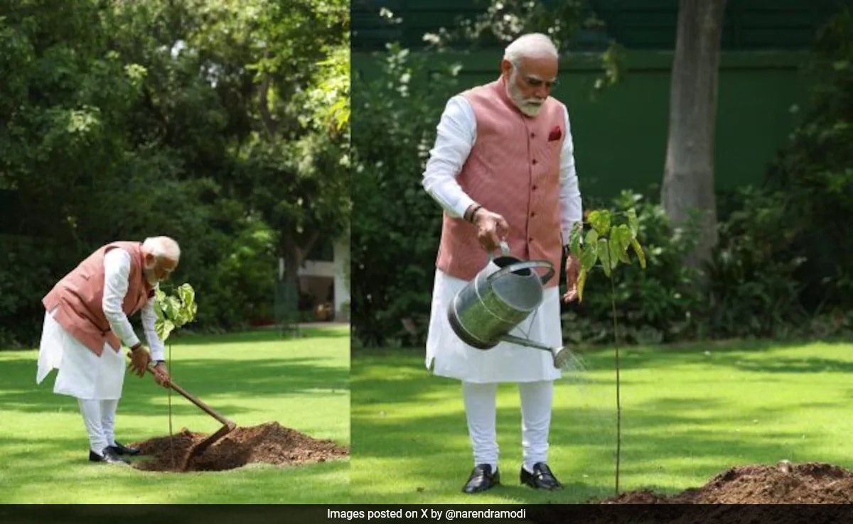 PM Modi Plants Sindoor Sapling, A Symbol Of Women's Valor, Inspiration