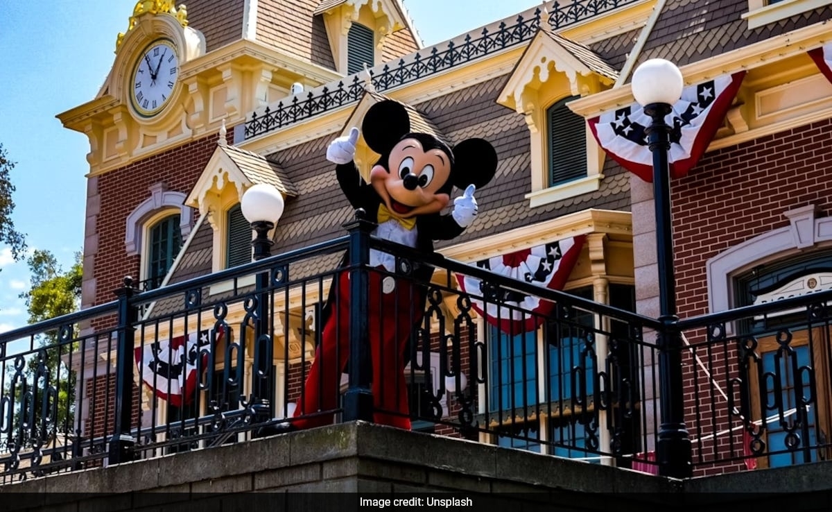 US Man Pays Rs 80,000 For Disneyland "Princess Breakfast", Internet Stunned