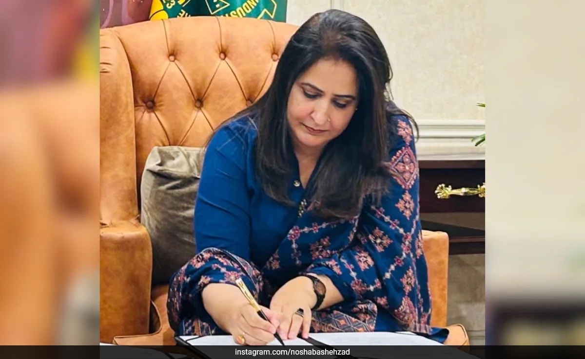 How 'Madam N' Lured Indian Social Media Influencers To Spy For Pakistan