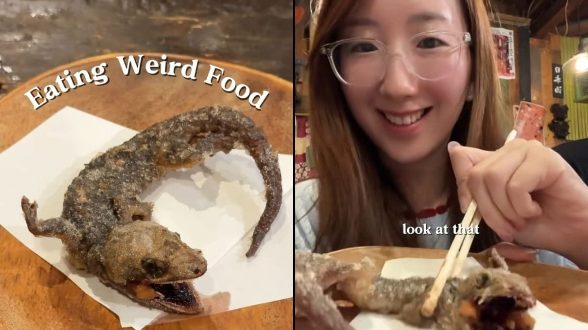 Watch: Woman Eats Scary-Looking Lizard In Japanese Restaurant, Internet Cannot Digest It