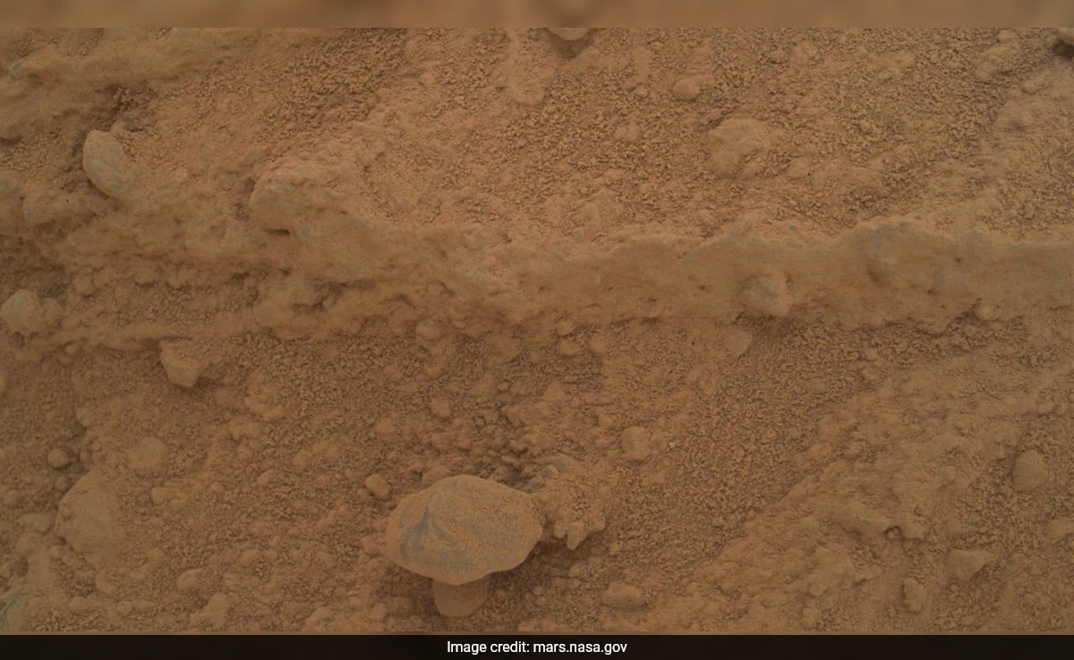 "Mushroom" On Mars: Is This A Sign Of Life On Red Planet?