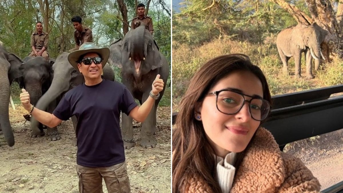 5 Wildlife Safari Destinations Loved By Celebrities That Belong On Your Bucket List
