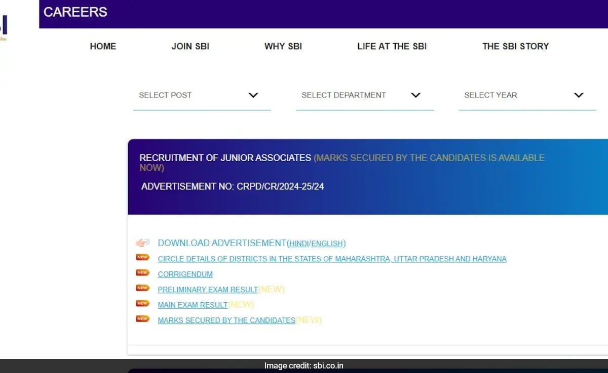 State Bank Of India Clerk Mains Result Scorecard 2025 Released, Download Here
