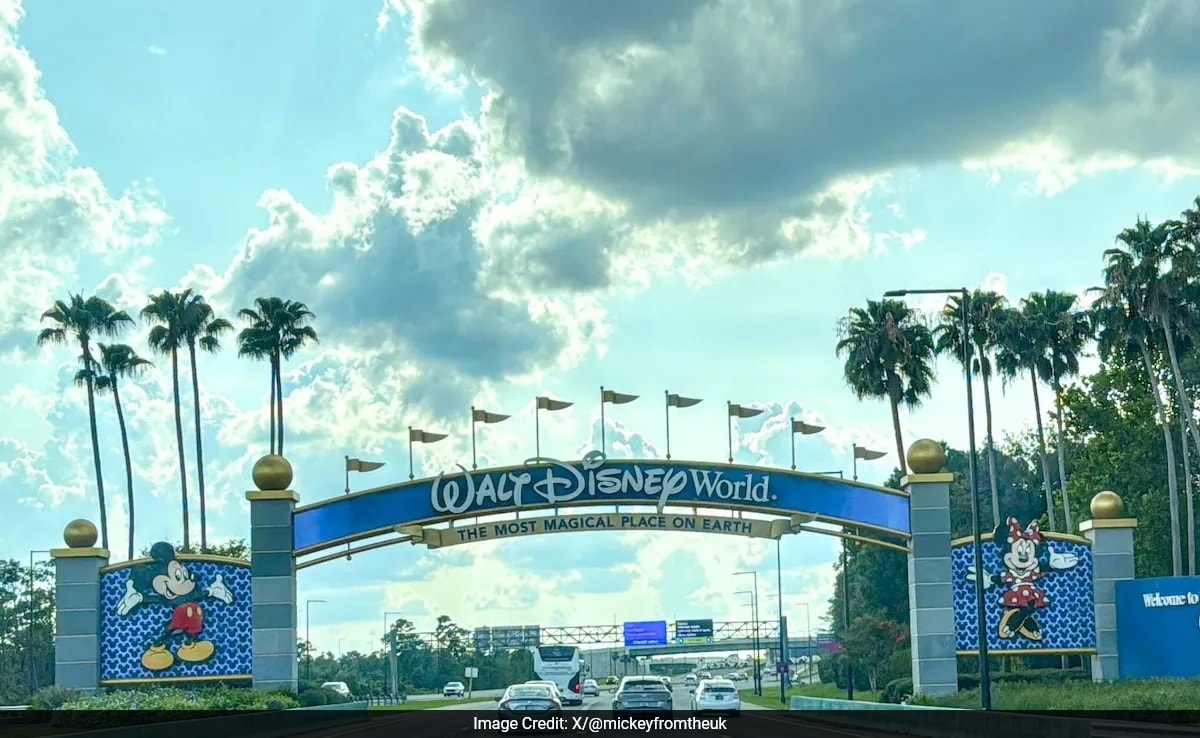 US Man Weighing 151 Kg Sues Disney For Rs 42 Lakh After Waterslide Injury