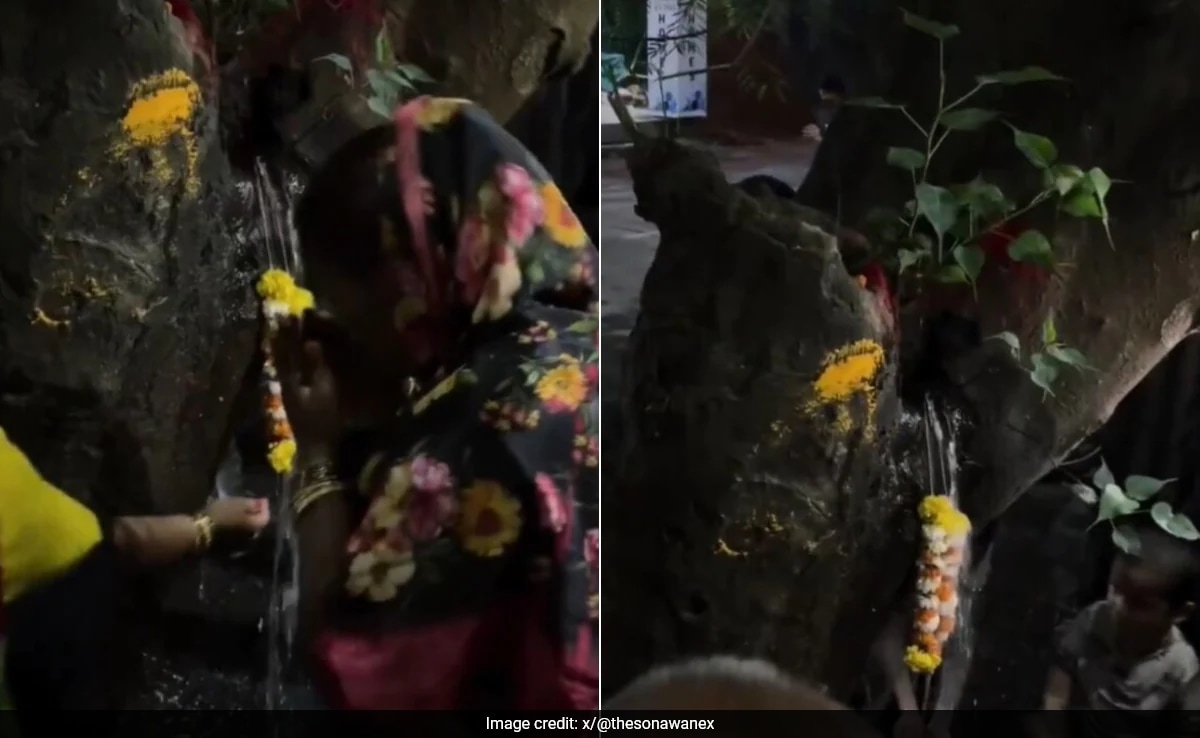 Pune Residents Worship Tree Gushing Out "Holy Water". It Turns Out To Be...