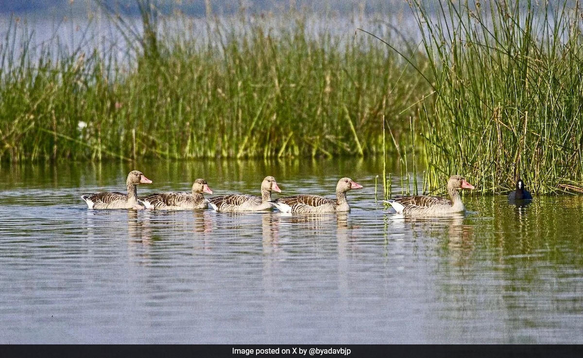India Is Home To 2 New Ramsar Wetland Sites, Tally Touches 91