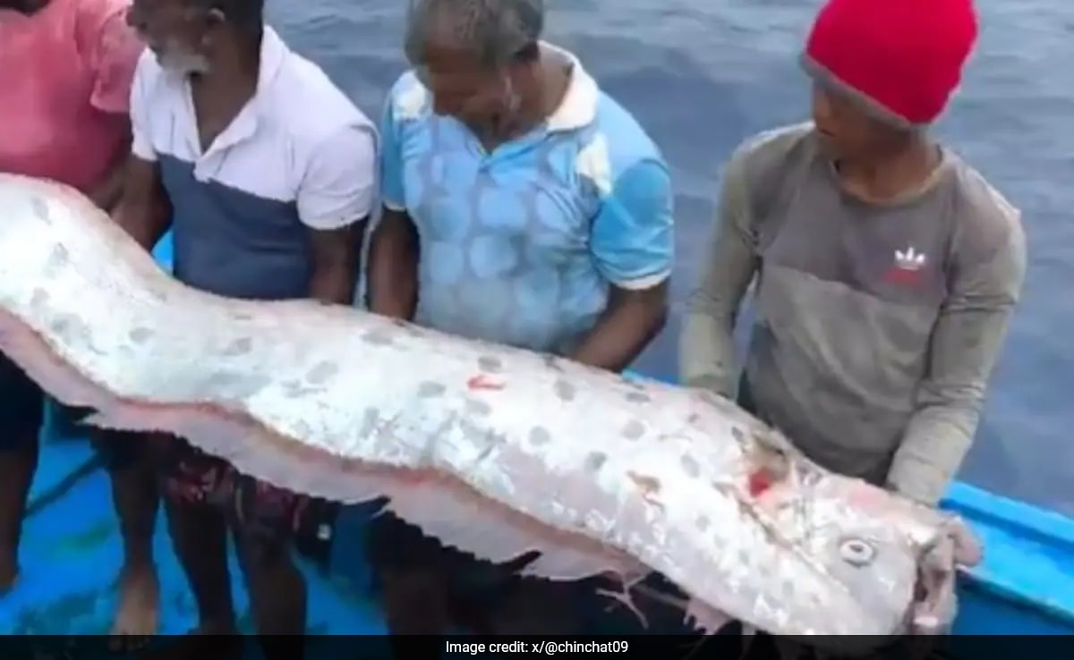 Rare Doomsday Fish, Believed To Be A Warning Sign Of Natural Disaster, Spotted In Tamil Nadu