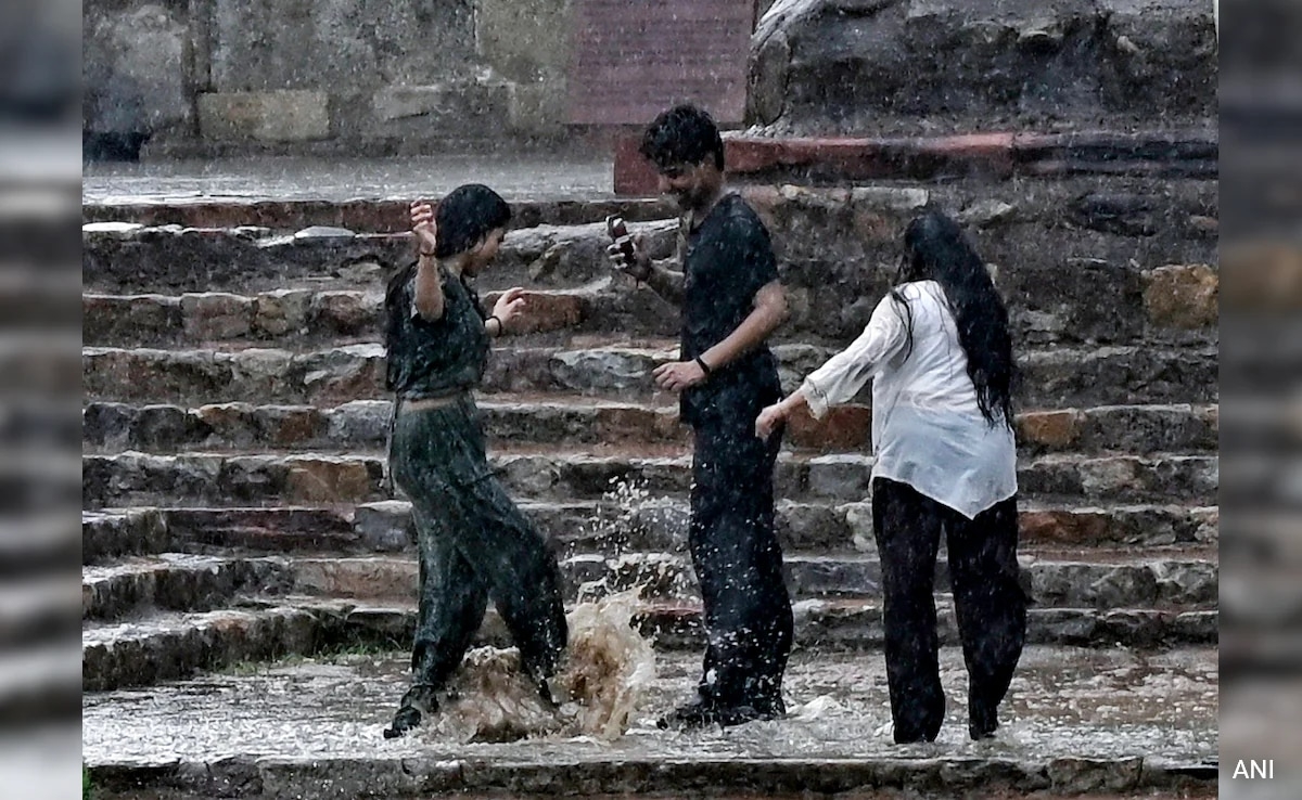 "Pre-Monsoon Shower": Weather Scientist On Rain In Delhi, Nearby Areas