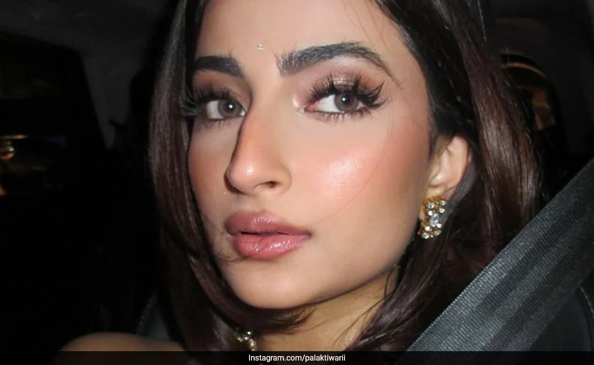 Palak Tiwari Takes Her Ethnic Glam Game On The Shimmer And Shine Route