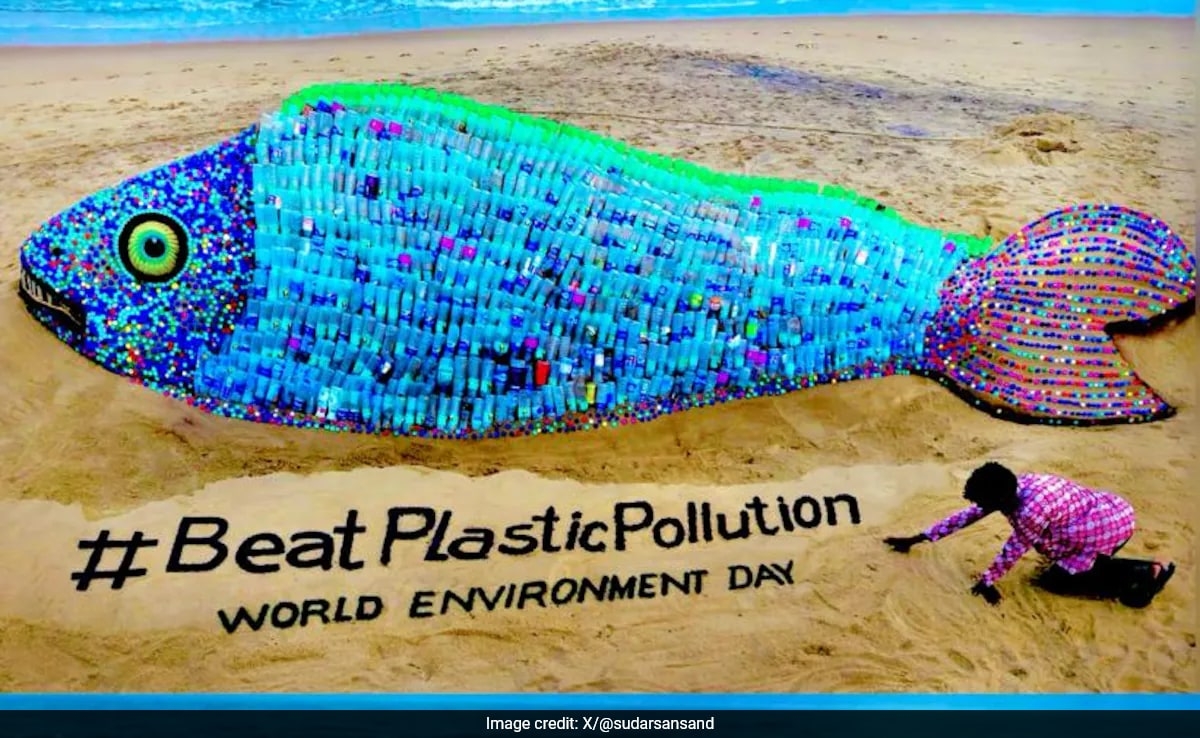 World Environment Day: Sand Artist Sudarsan Pattnaik's Message On Plastic Pollution