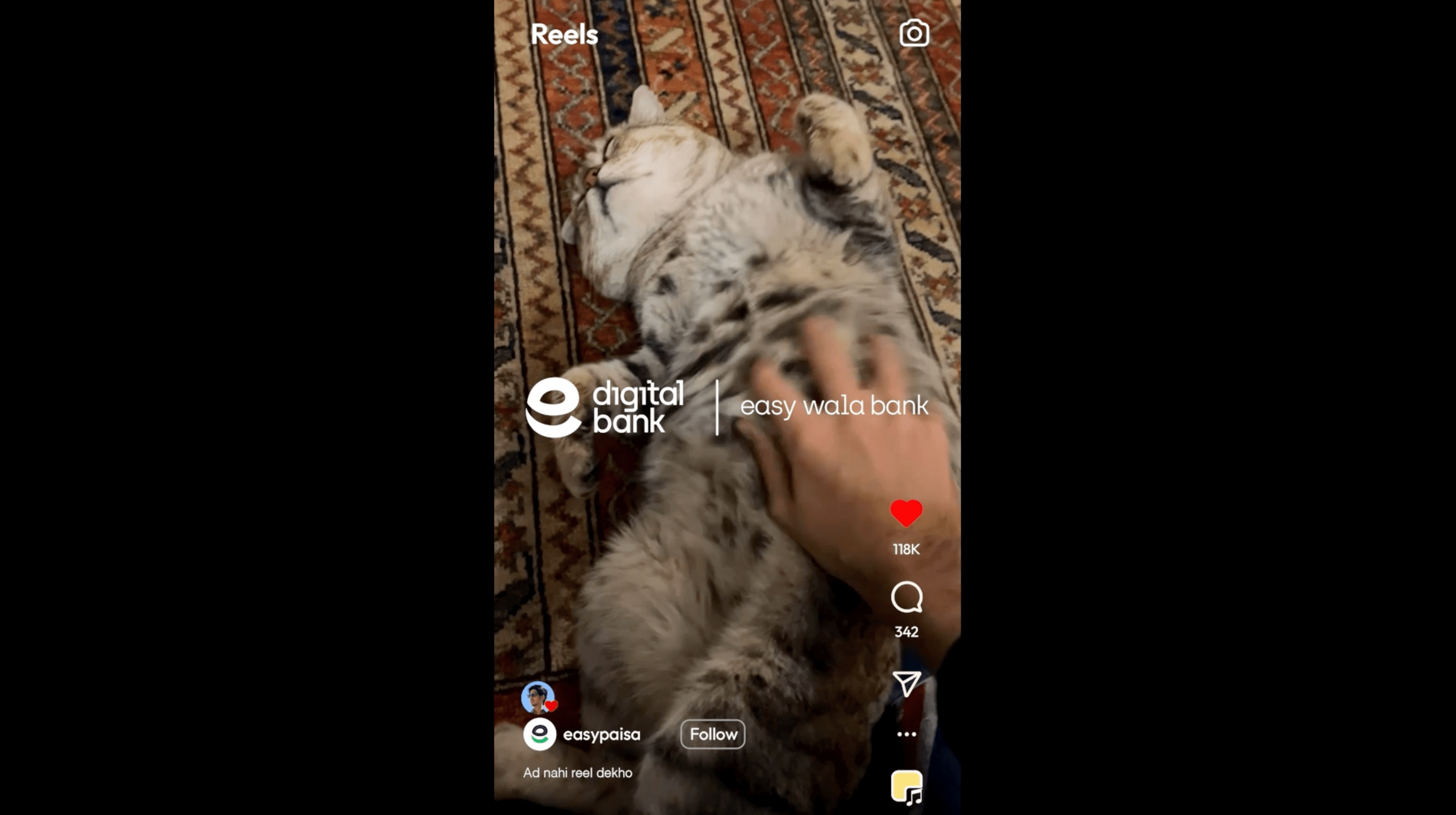 Don't like watching ads? Easypaisa campaign offers consumers cat reels, instead