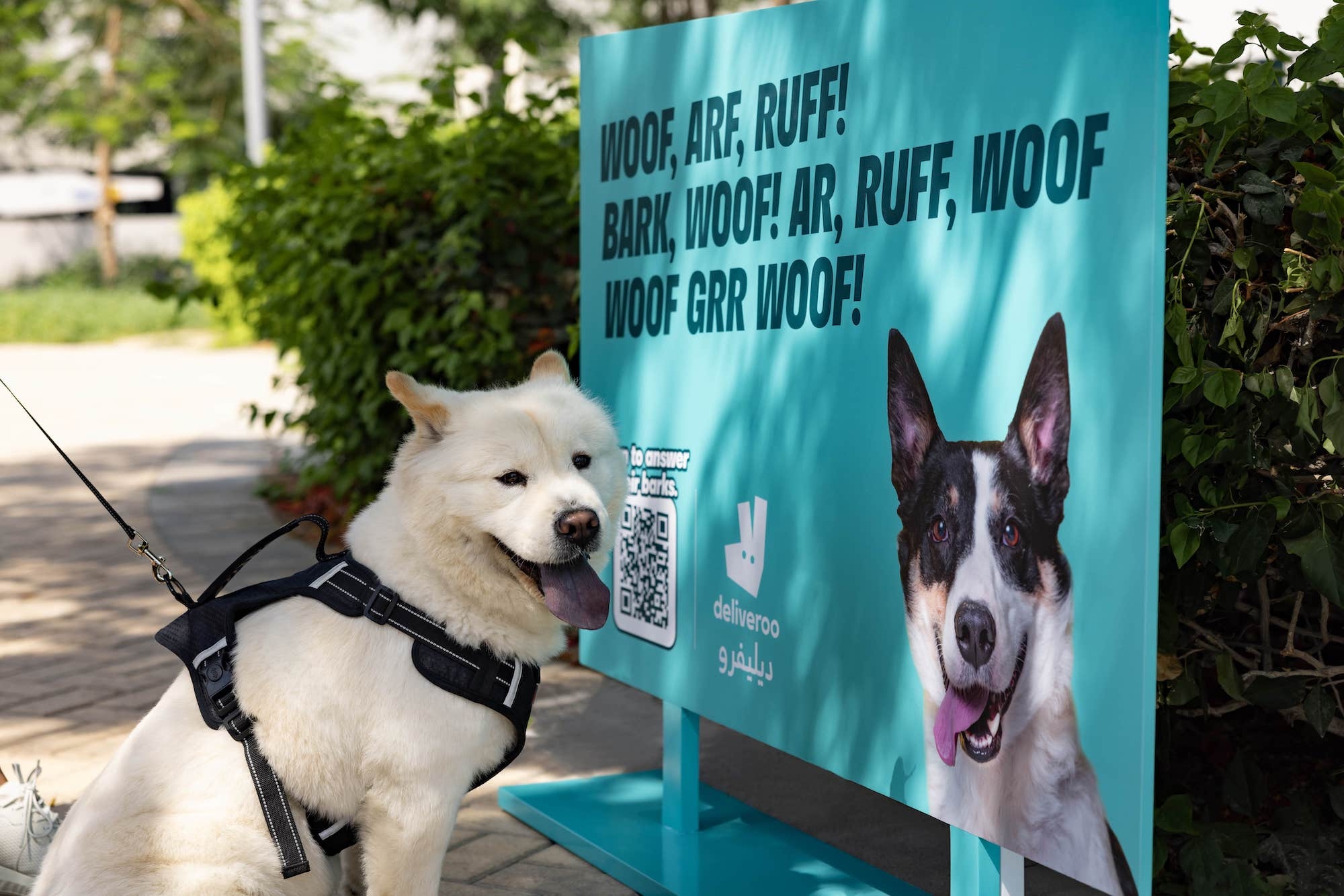 Deliveroo is ‘Petvertising' with interactive OOH campaign for pets