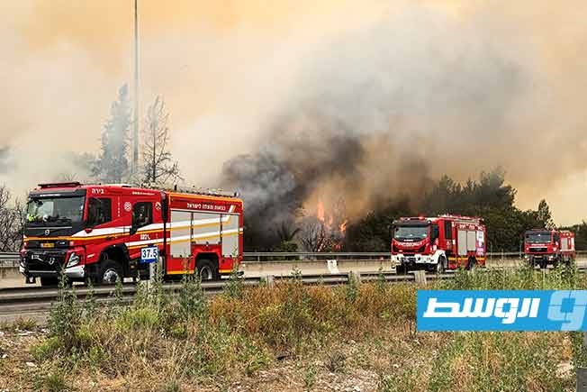 استنفار أمني كبير وطلب مساعدات.. توقعات باشتداد نيران الغابات في «إسرائيل»